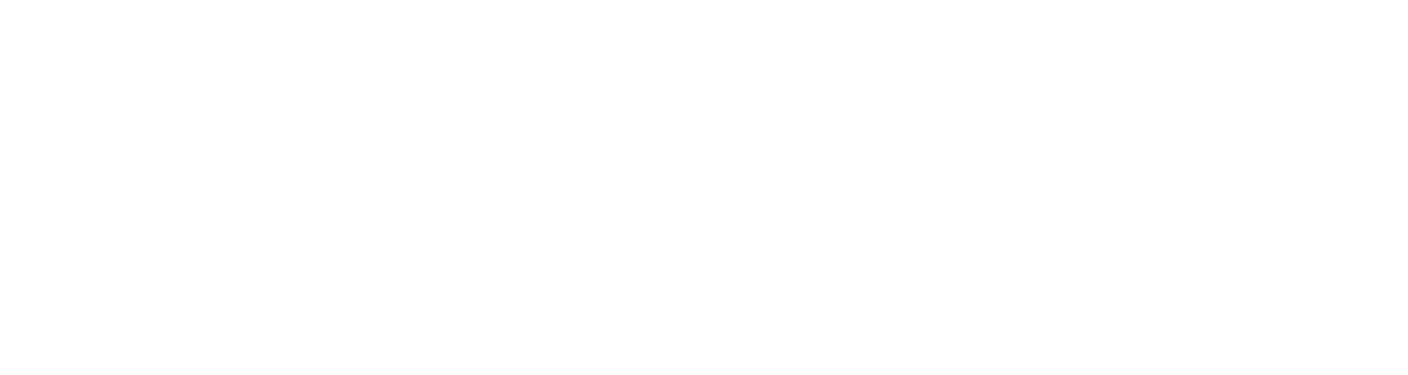 automni.ai | AI Automation Agency